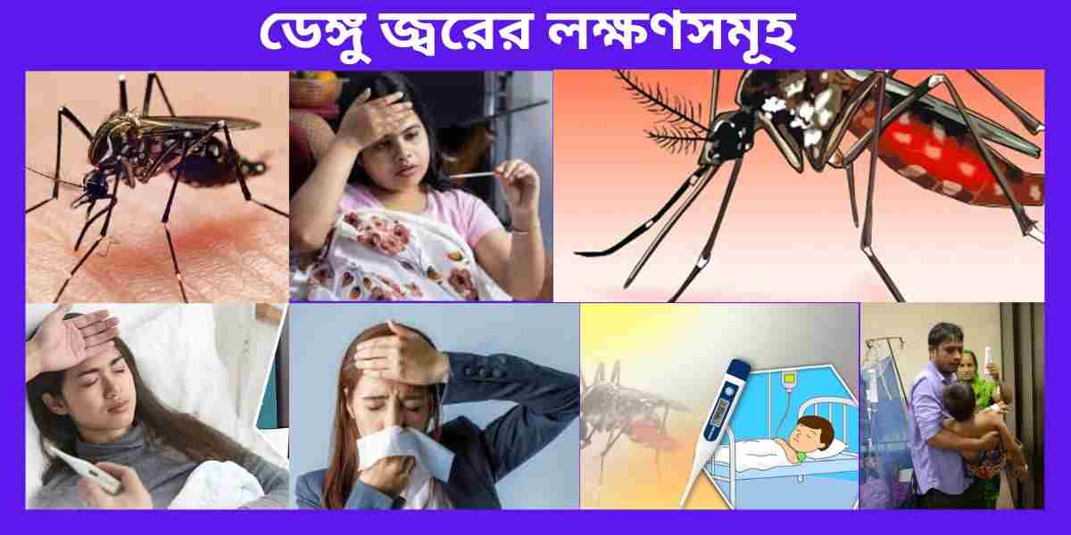 ডেঙ্গু জ্বরের লক্ষণসমূহ